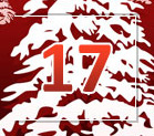 Tür Nr. 17 im fotopuzzle.de Adventskalender