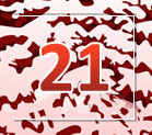 Tür Nr. 21 im fotopuzzle.de Adventskalender