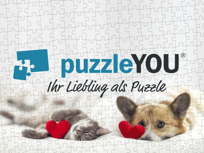 Das puzzleYOU Logo ziert die linke Seite des Tierheim Autos in Weiden