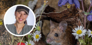 Kleine Mäuse ganz groß – unsere Mausi Puzzle-Kollektion